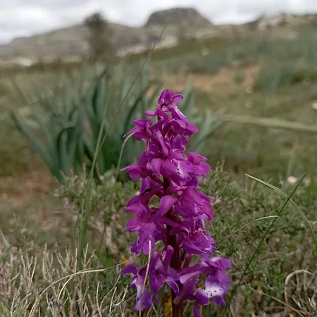 Casa de Campo El Hidalgo En Burgos