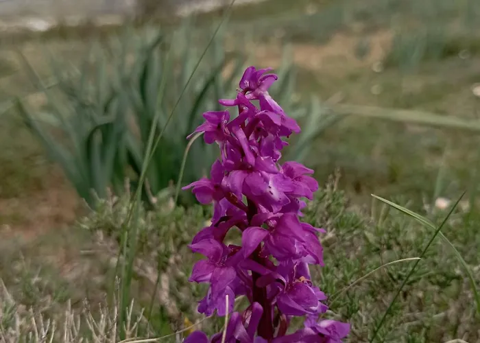 컨트리하우스 El Hidalgo En Burgos